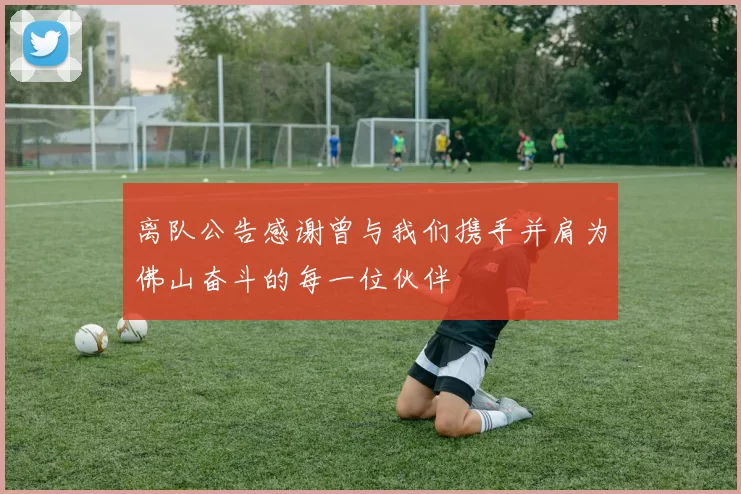 离队公告感谢曾与我们携手并肩为佛山奋斗的每一位伙伴